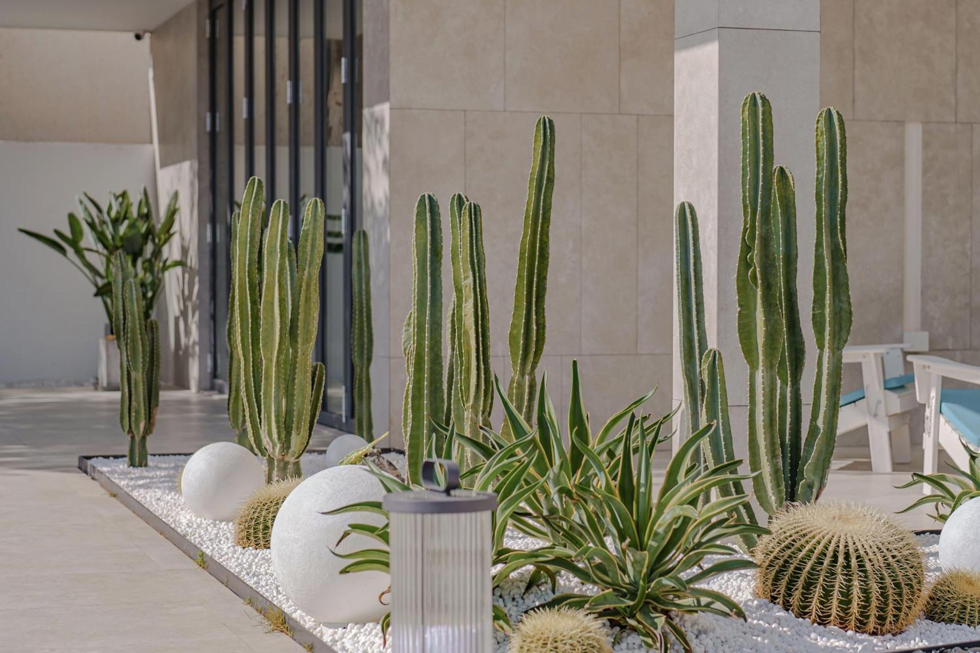 Dali Oriental Seaview Hotel -Dali Erhai المظهر الخارجي الصورة